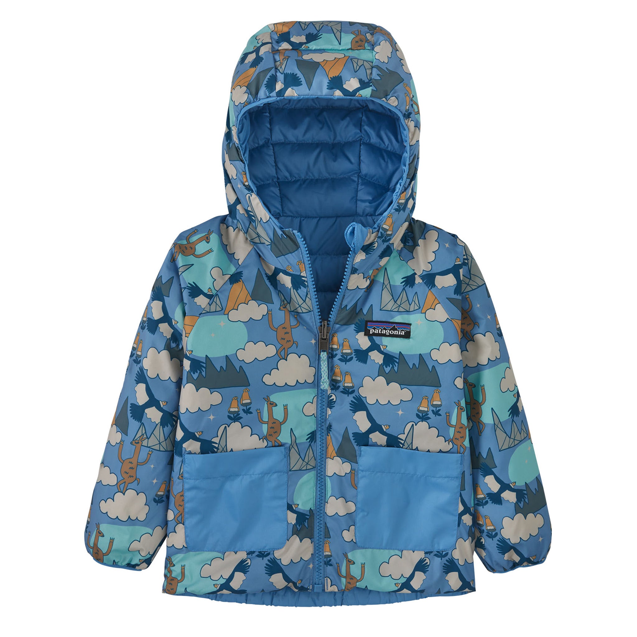 Baby reversible sales down sweater hoody