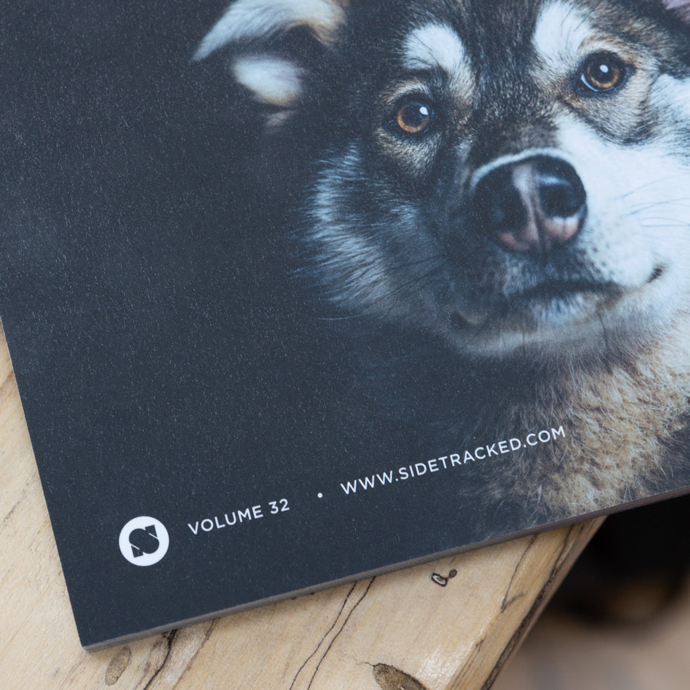 Sidetracked Volume 32