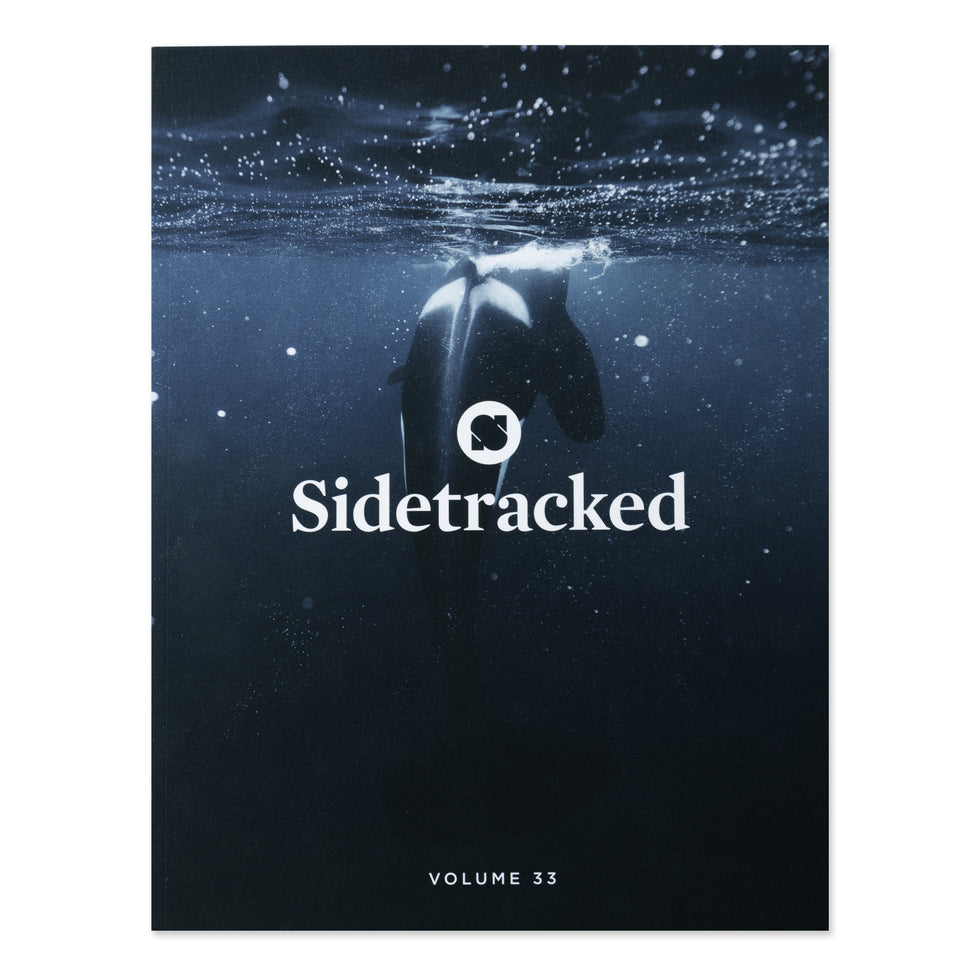 Sidetracked Volume 33