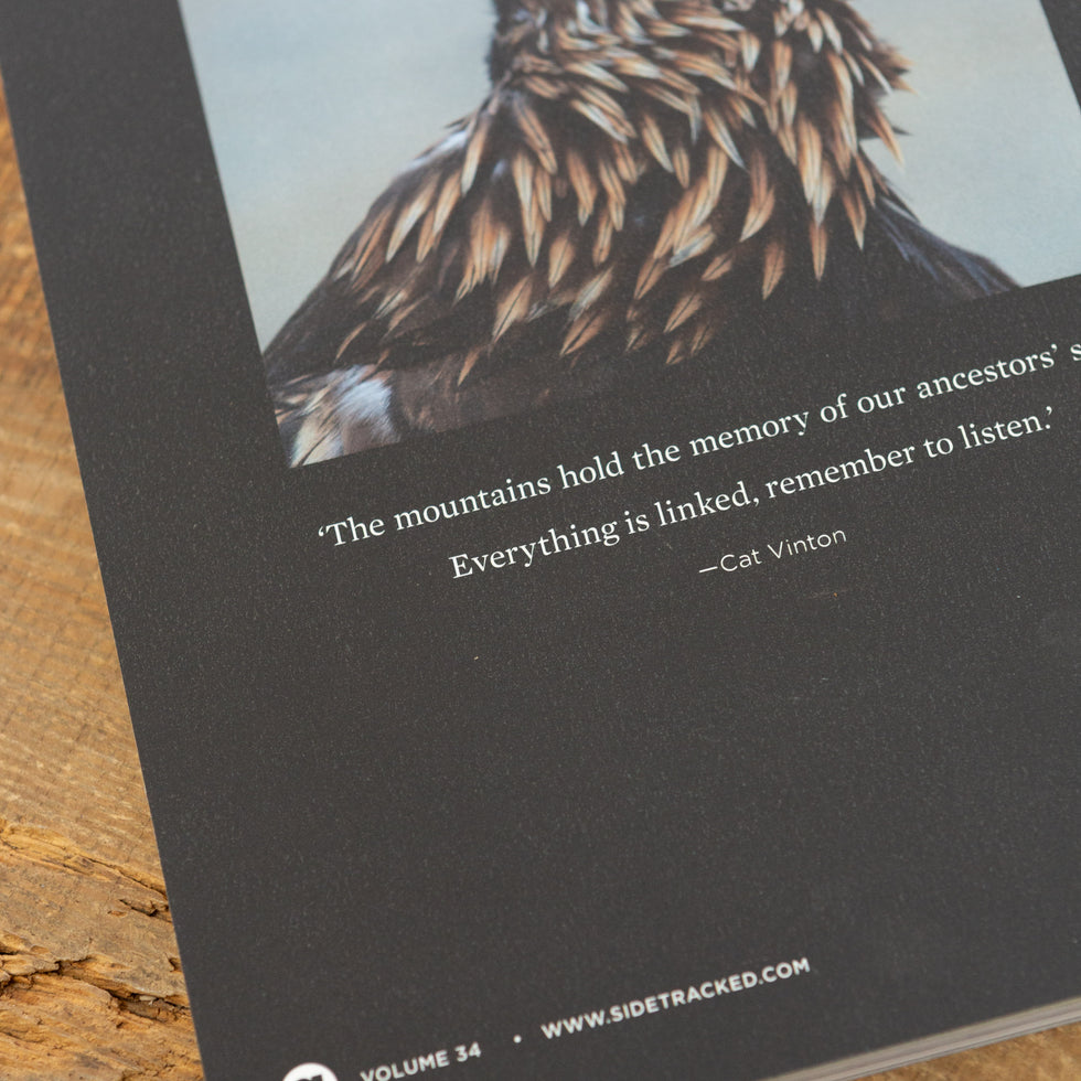 Sidetracked Volume 34