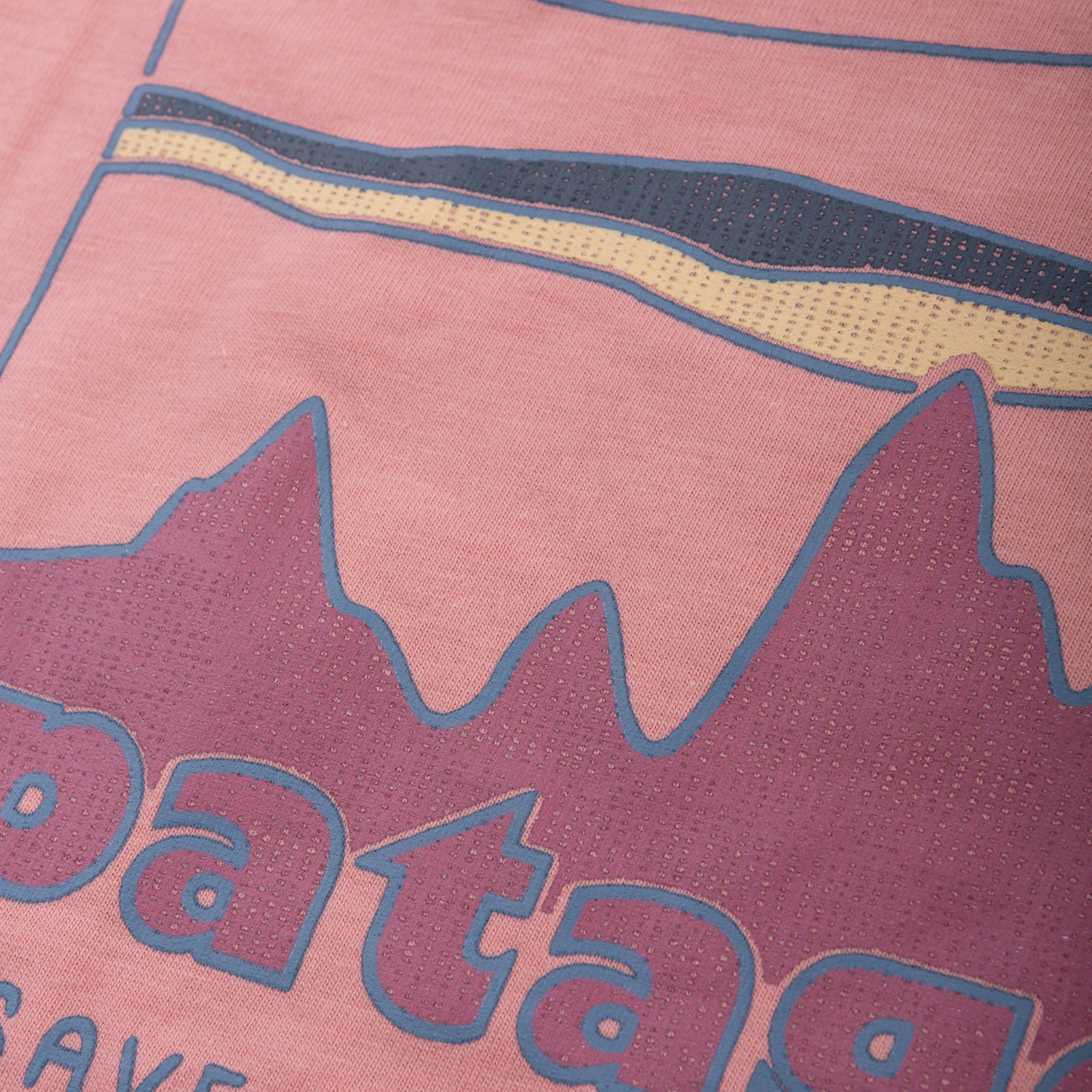 Patagonia Girls Long-Sleeved Regenerative Organic Certified Cotton Graphic T-Shirt